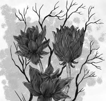 Black Lotus Large Plant Climate/Terrain: Warm jungle Organization: Patch (5 10) or colony (11 30) Initiative: +4 Senses: Blindsense Languages: Dodge Defence: 3 Hit Points: 38 (4 HD); DR 2 Saves: Fort