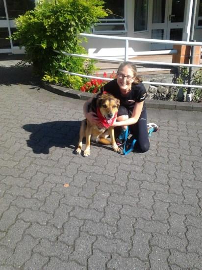 New Canine Friend Cody In March this year my dog Cody started to visit Te Omanga Hospice in Lower Hutt.