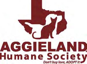 in foster care and adoptions The Aggieland Humane Society made positive strides in saving animals lives according to its 2013 annual report.