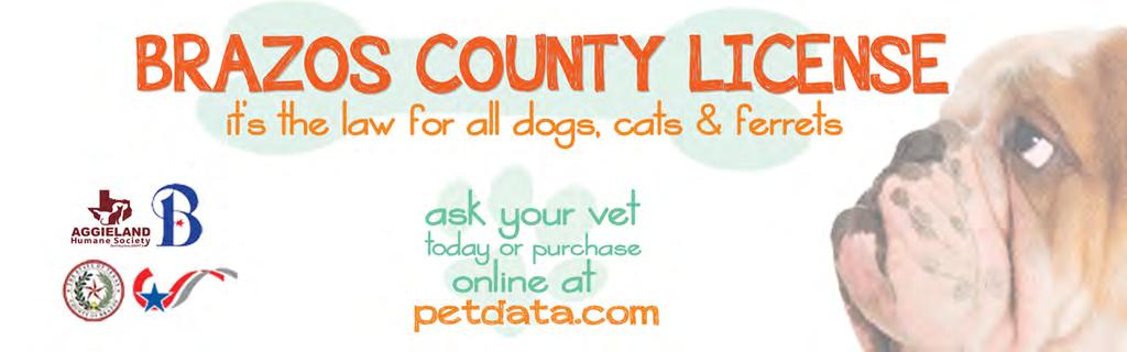 Why Tag Your Pets? 24 hour Lost & Found phone number on the tag. Extended impoundment while the owner is located. Emergency ride to vet for injured tagged pets. Decreased impoundment fee.