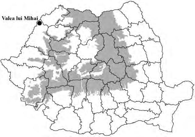 126 Covaciu-Marcov, S.D. et al. course, typical for the northwestern plain regions from Romania. It forms to the north of the town from several wet lands and from an modified pond.