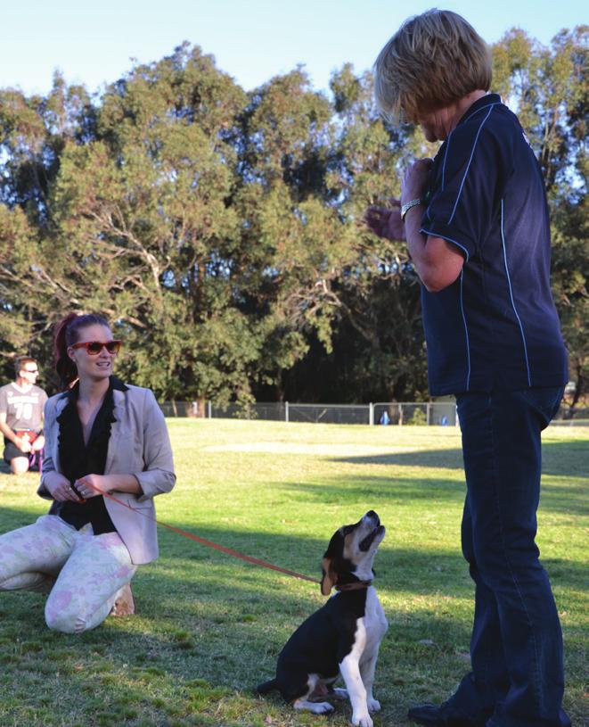 how to behave in public. Give our friendly team a call on (08) 9209 9309, drop them a line Dogtraining@rspcawa.asn.