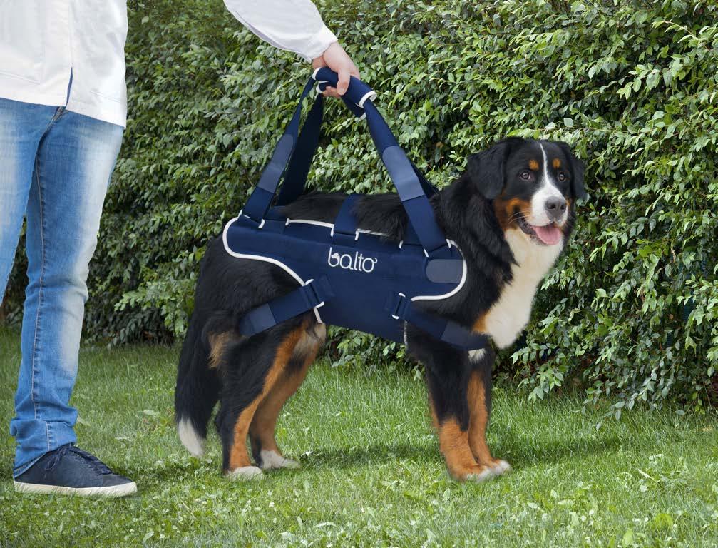 6 BT BODY LIFT 1) ONE-PIECE BACK BRACE WITH HANDLE, FOR DOGS WITH AGE- OR DISEASE-RELATED MOTOR DIFFICULTIES 2) SUPPORTS THE SPINAL COLUMN The BT BODY LIFT serves 2 specific functions: 1) It is