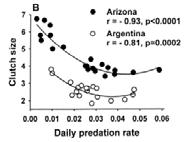 Estimating the true cost of reproduction Estimates of egg composition indicate that the energy required for egg production range from 13-41% BMR in passerines to 200% BMR in waterfowl - Need more