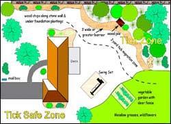 Phase 2 Game Plan - Protect Your Yard Wildlife and habitat