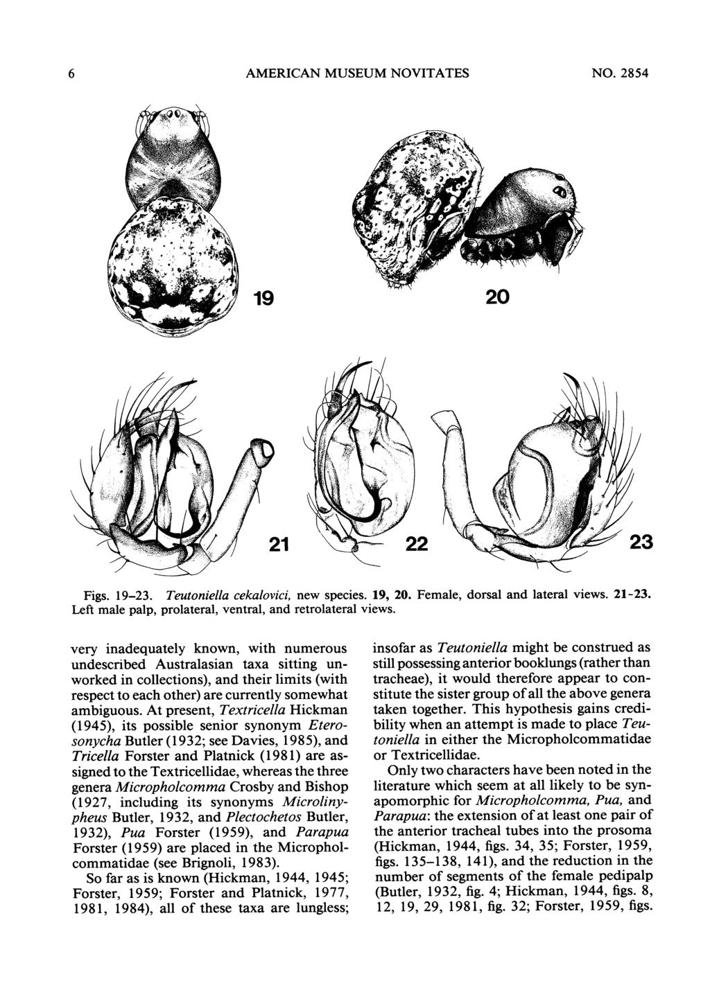 6 AMERICAN MUSEUM NOVITATES NO. 2854 419v ~1 20 23 Figs. 19-23. Teutoniella cekalovici, new species. 19, 20. Female, Left male palp, prolateral, ventral, and retrolateral views.