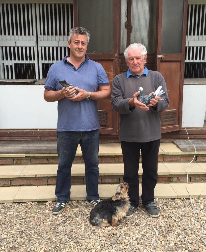 Over in the East now and there we see Jack Ramm of Folkingham bringing home the bacon and the pigeon responsible is a bird from Chris Smith of Chesterfield.