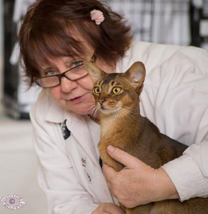 Barbara Martland ~ FASA I have been involved with the cat fancy since 1971 when I registered my prefix Arrakish to breed Persian cats. I bred Persians for 18 years.