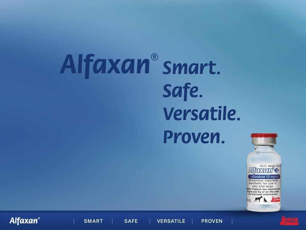 When using Alfaxan, patients should be