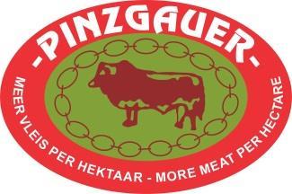 SHOWS AND JUDGING OF BREEDING ANIMALS OF THE PINZGAUER AND PINZ²YL CATTLE BREEDERS SOCIETY OF SOUTH AFRICA