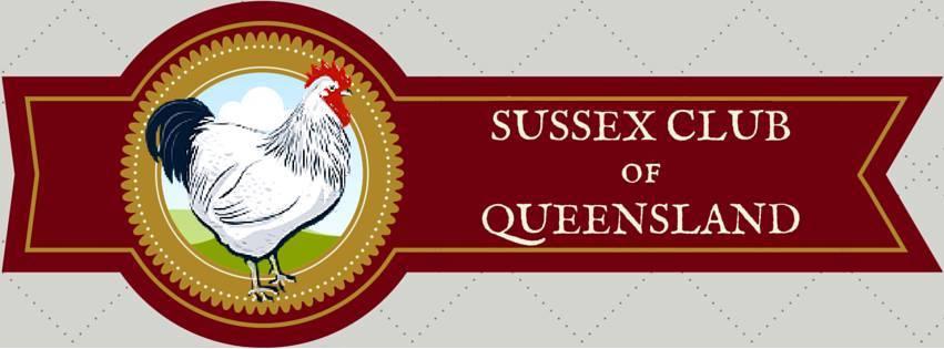 SUSSEX FEATURE SPONSORED BY CHAMPION SUSSEX OF SHOW RESERVE CHAMPION SUSSEX OF SHOW CHAMPION LARGE SUSSEX OF SHOW CHAMPION BANTAM SUSSEX OF SHOW CHAMPION LIGHT LARGE - TROPHY & ROSETTE CHAMPION LIGHT