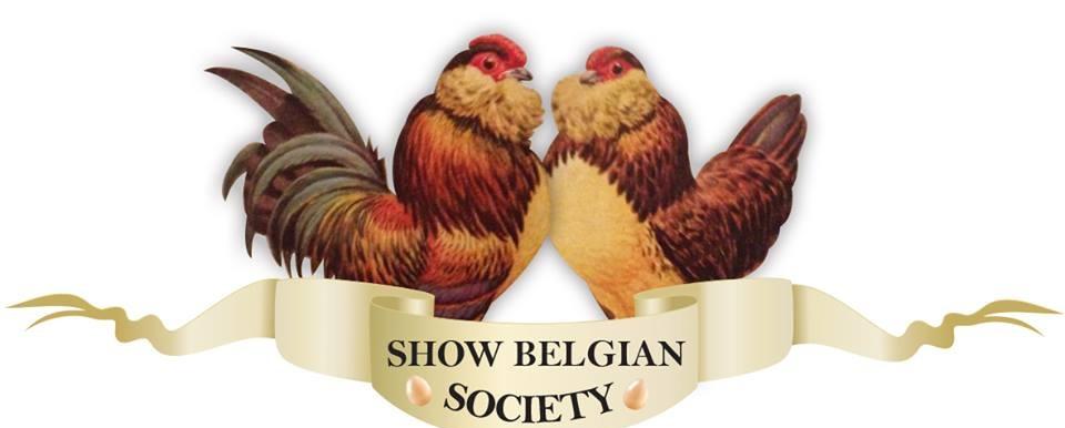 LES BLAKE MEMORIAL TROPHY FOR BEST WYANDOTTE OF SHOW CLIVE CLAUS MEMORIAL TROPHY FOR BEST LEGHORN OF SHOW FCAQI Encouragement Award Cash Trophies & Sash for Champion Waterfowl of Show $100 Reserve