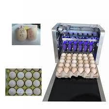 to help you keep track of them all. You can use a pencil, marking pen, or a stamp. 5 Store the eggs.