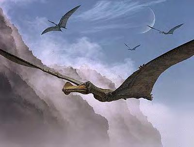 Pterosaurs: First vertebrates with powered flight 25 cm to