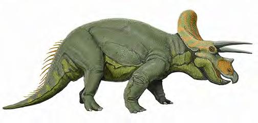dinosaurs) Herbivores Extinct 65 mya