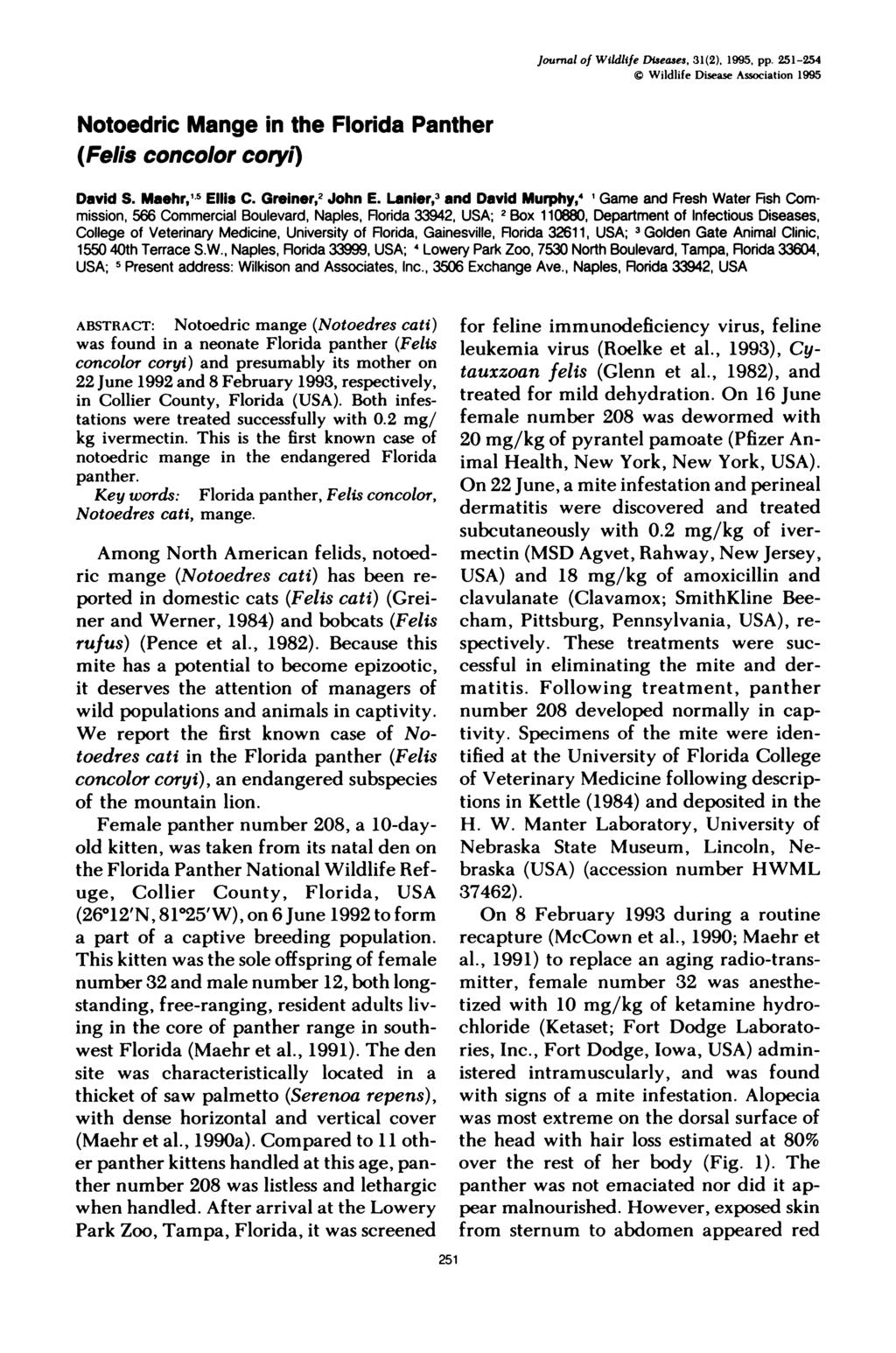 Journal of Wildlife Diseases, 31(2), 1995, pp. 251-254 Wildlife Disease Association 1995 Notoedric Mange in the Florida Panther (Fells concolor coryl) David S. Maehr, 5 Ellis C. Greiner,2 John E.