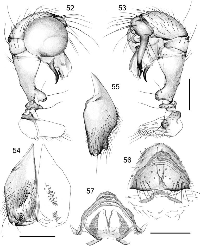 552 Invertebrate Systematics B. A.