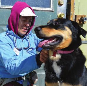 Humane Humans Logging nearly 5,000 hours in 2015, Ark-Valley Humane Society volunteers provide compassion for the animals and support for the