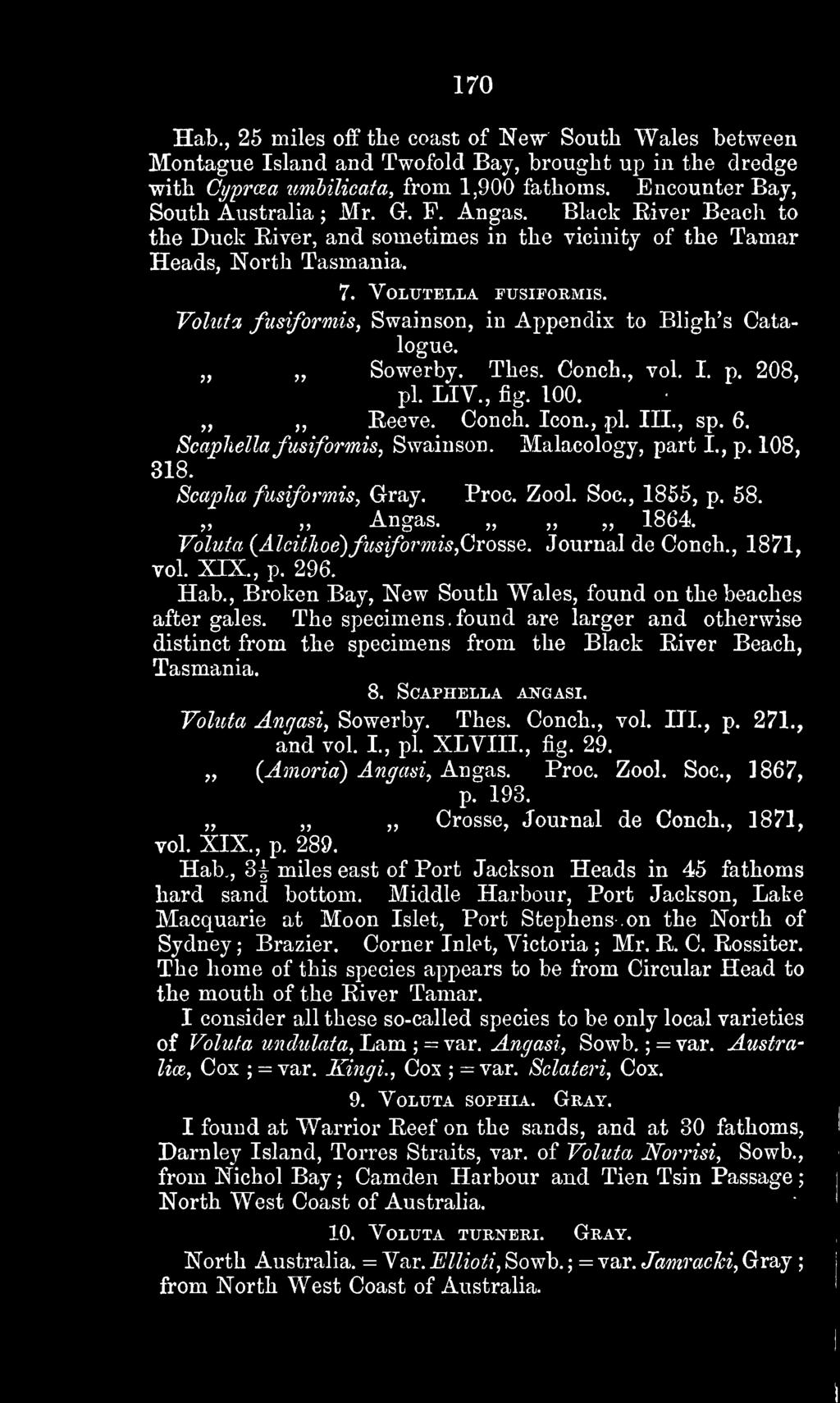 Voluta fiisiformis, Swainson, in Appendix to Bligh's Catalogue. Sowerby. Thes. Conch., vol. I. p. 208, pi. LIv., fig. 100.,, Reeve. Conch. Icon., pi. III., sp. 6. Scapliella fusiformis, Swainson.