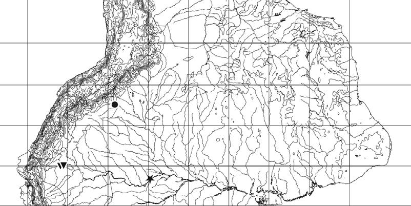 445 0º - 80º - 60º - 40º - 10º - 20º Fig. 3. Map section of South America showing sites where Metoncidus species have been collected: * = M. tenebrionides; = M. epiphytus;! = M. gracilus.
