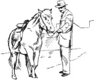 Farmer Brown s Gray Pony From The Man in the Drum Stories in Music Appreciation by Hazel Gertrude Kinscella Everyone in town knew Farmer Brown s Gray Pony. Farmer Brown lived on a farm in the country.