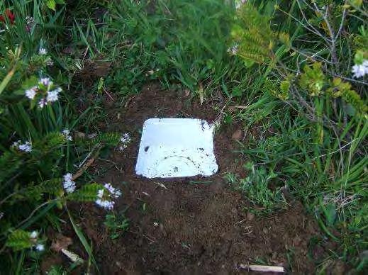 B. Pitfall traps To make a pitfall trap you will need: Small trowel, small plastic container, piece of wood or metal, 4 stones, 1 rock.