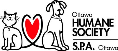 Grade 4: Too Many Cats and Dogs In-Class Lesson Plan Introduction Humane education examines the relationship between animals and humans, recognizing that we share many of the same physical and
