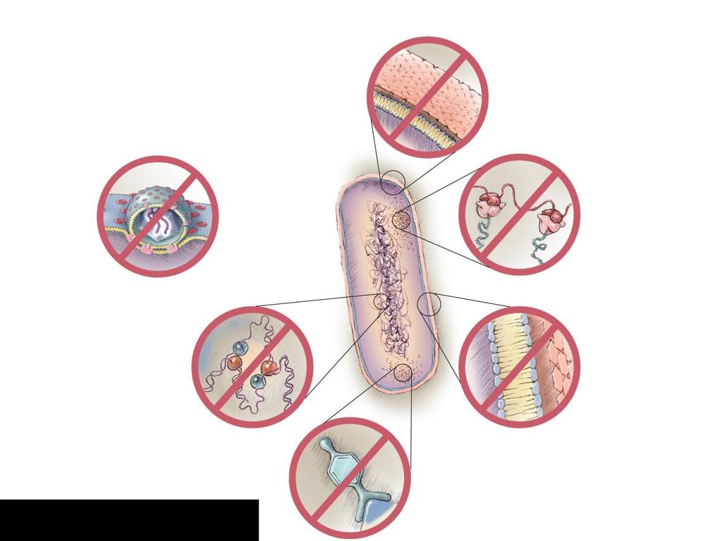 Figure 10.2 Mechanisms of action of microbial drugs.