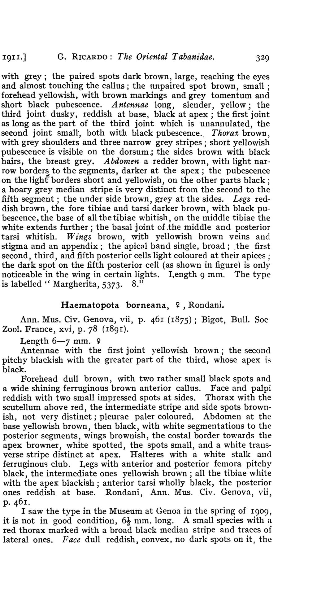 191 1.] G. RICARDO: The Oriental Tabanidae.
