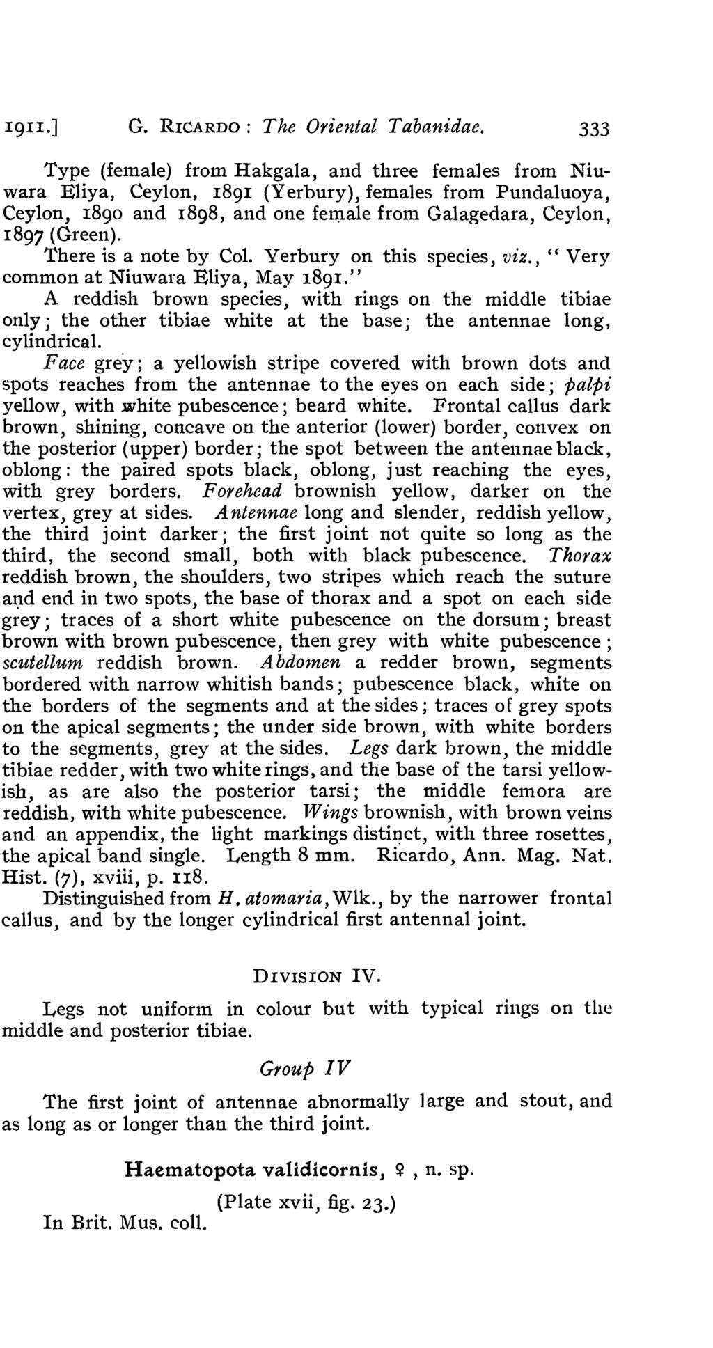 1911.] G. RICARDO: The Oriental Tabanidae.