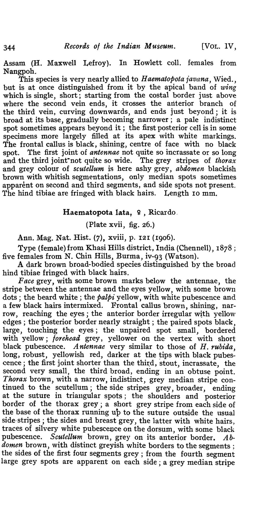 344 Records of the Indian Museum. [VOL. IV, Assam (H. Maxwell Lefroy). In Howlett coil. females from Nangpoh.. This species is very nearly allied to Haematopota iavana, Wied.
