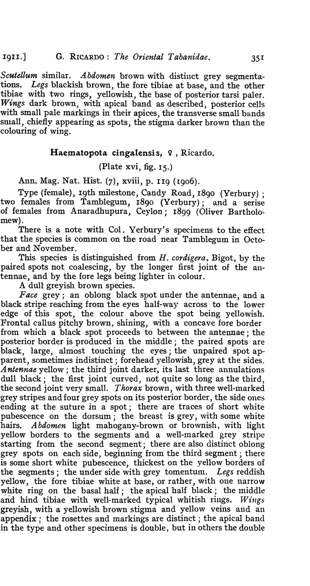 1911.] G. RICARDO: The Oriental Tabanidae. 35 I Scutellum similar. Abdomen brown with distinct grey segmentations.