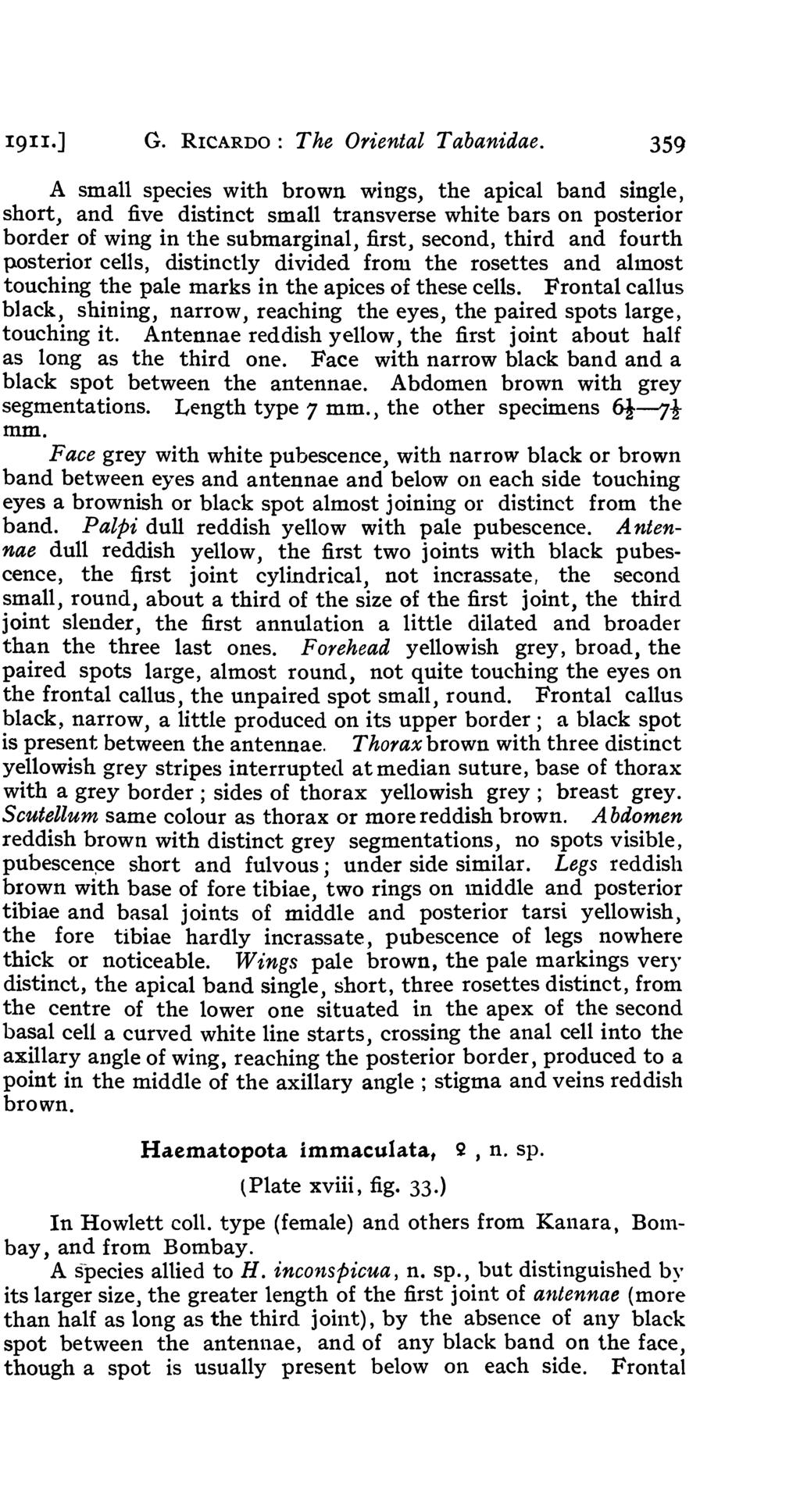 191I.] G. RICARDO: The Oriental Tabanidae.