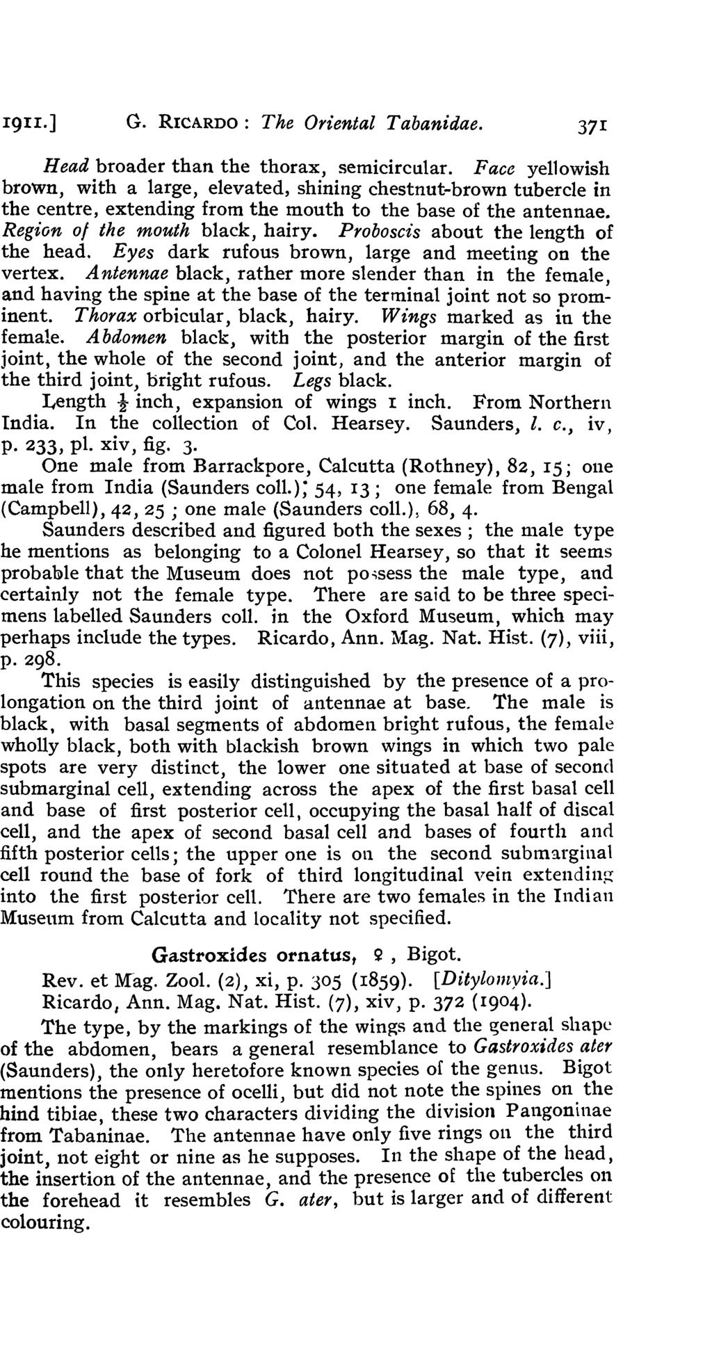 19I I.] G. RICARDO: The Oriental Tabanidae. 37 1 Head broader than the thorax, semicircular.