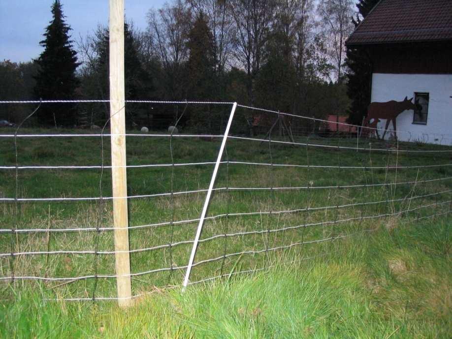 Termination of elk (Alces alces) damages to pasture fences Termination of