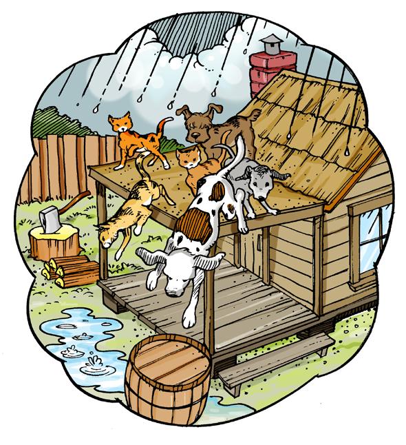 Raining Cats, Dogs, and Other Animals A Reading A Z Level R Leveled Book Word