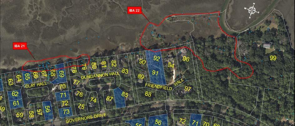 Even numbered lots 112-140 Halona Lane are considered "conservation lots" by Kiawah Island Real Estate and are being sold with deed restrictions that limit development.
