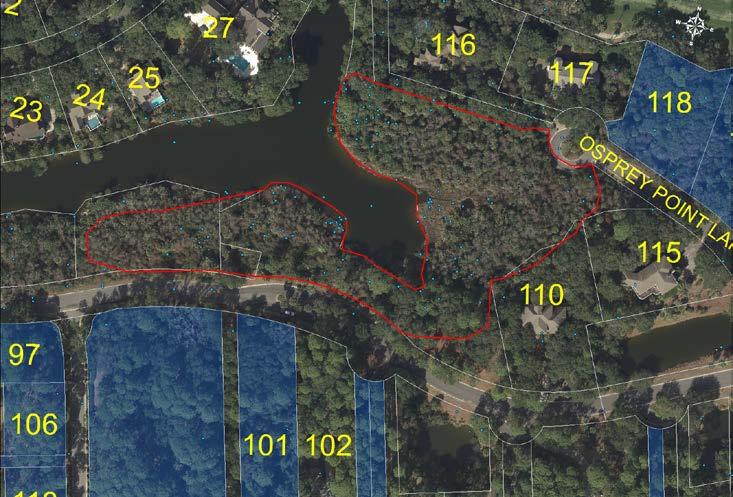 IBA 29 Osprey Point Lane (3.85 acres) This area is composed of pond edge, marsh, an open field, and maritime forest.