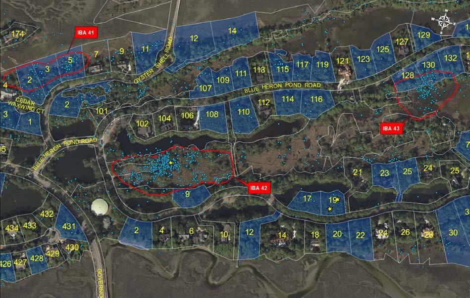 Detailed IBA Maps and Descriptions for BMU 4 (Blue points indicate bobcat GPS locations) IBA 41 Oyster Shell Road (1.47 acres) This area is composed of forest, scrub-shrub, and marsh edge habitats.