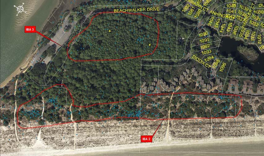 This is the most important IBA on the island and is a crucial area for bobcat denning, daytime resting cover, and hunting cover. This area is currently zoned as single family residential (R1).