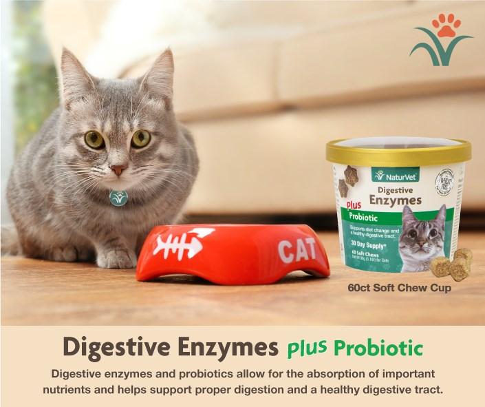 NaturVet Supplements 25% Off Digestive Supplement SKUs Item Description UPC Wholesale 25% Off Order Qty 8285 Advanced Probiotics & Enzymes Soft Chew 70ct -12/case 7 9780103702 0 $8.70 $6.