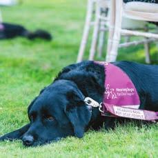 support how you can help us support them Hearing Dogs for Deaf People Hearing loss is a