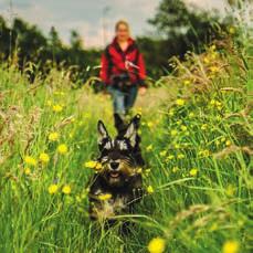 ensures that dogs in their care get proper exercise, resulting in happier, healthier