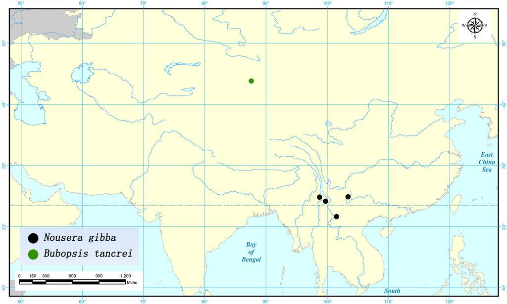 Two newly recorded genera and species of Owlflies (Neuroptera: Ascalaphidae)... 13 Distribution map Fig. 16 Figure 16. Distribution of Nousera gibba and Bubopsis tancrei in China.