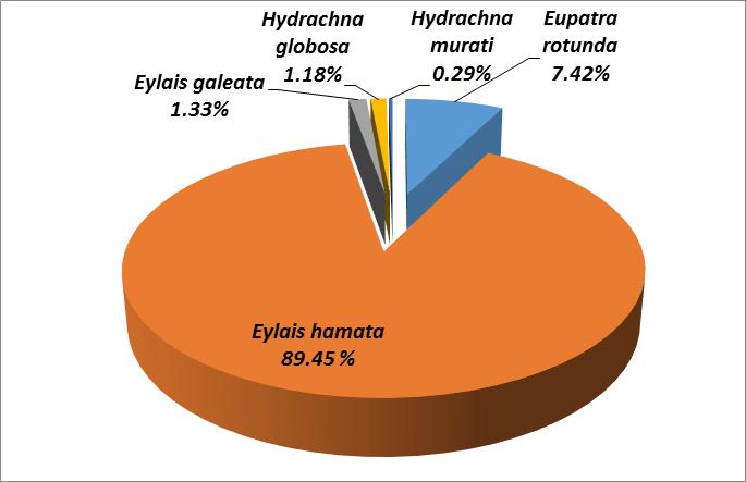 Fig 25: Monthly richness of water mites in Collo during the year 2013 3.