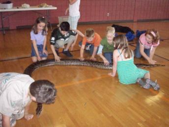 Reptile Presentations: Educational, Entertaining,