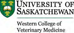 Dean s Corner - WCVM Dean s Update WESTERN COLLEGE OF VETERINARY MEDICINE Here are some brief news highlights from the Western College of Veterinary Medicine: Research funding: In January, the