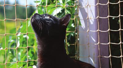 SAFE AT HOME, DON T LET ME ROAM CAT-PROOFING A BALCONY OR VERANDAH Rigid netting can be used if the top of the balcony is cat-proofed or fully enclosed.