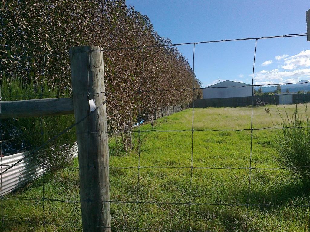 Below: View from eastern boundary (deer fence) along southern fence