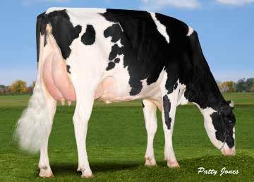 Lot 21: Mapel Wood Jacey Hallie Date of Birth: June 14, 2014 Sells Open & Ready to Flush or IVF Add a Cookiecutter to your flush program.